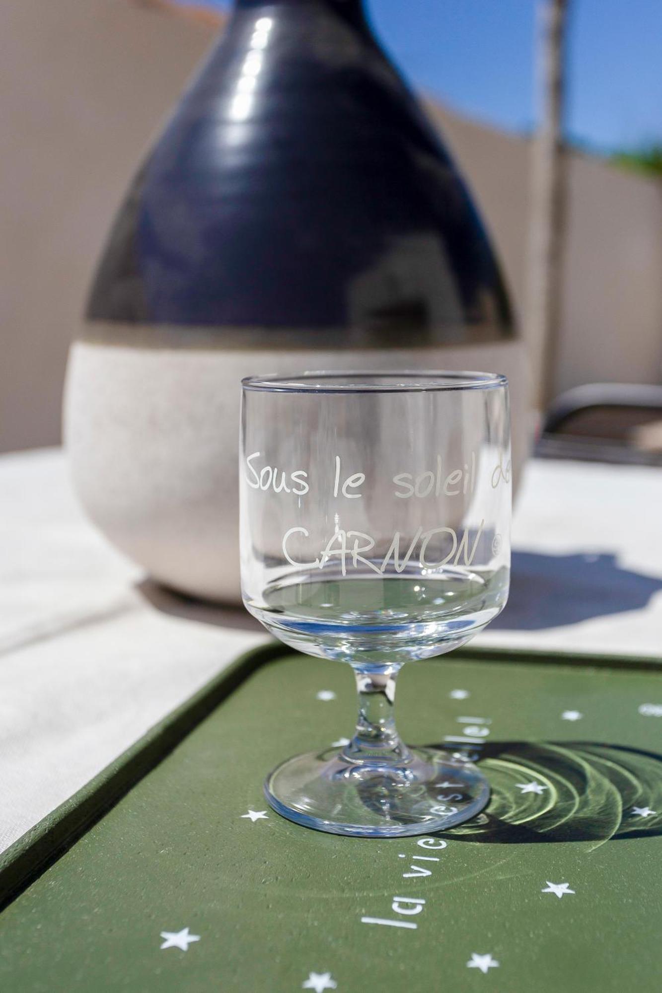 Chez Misha - Sublime Maison Climatisee A 100m Des Plages De Carnon *